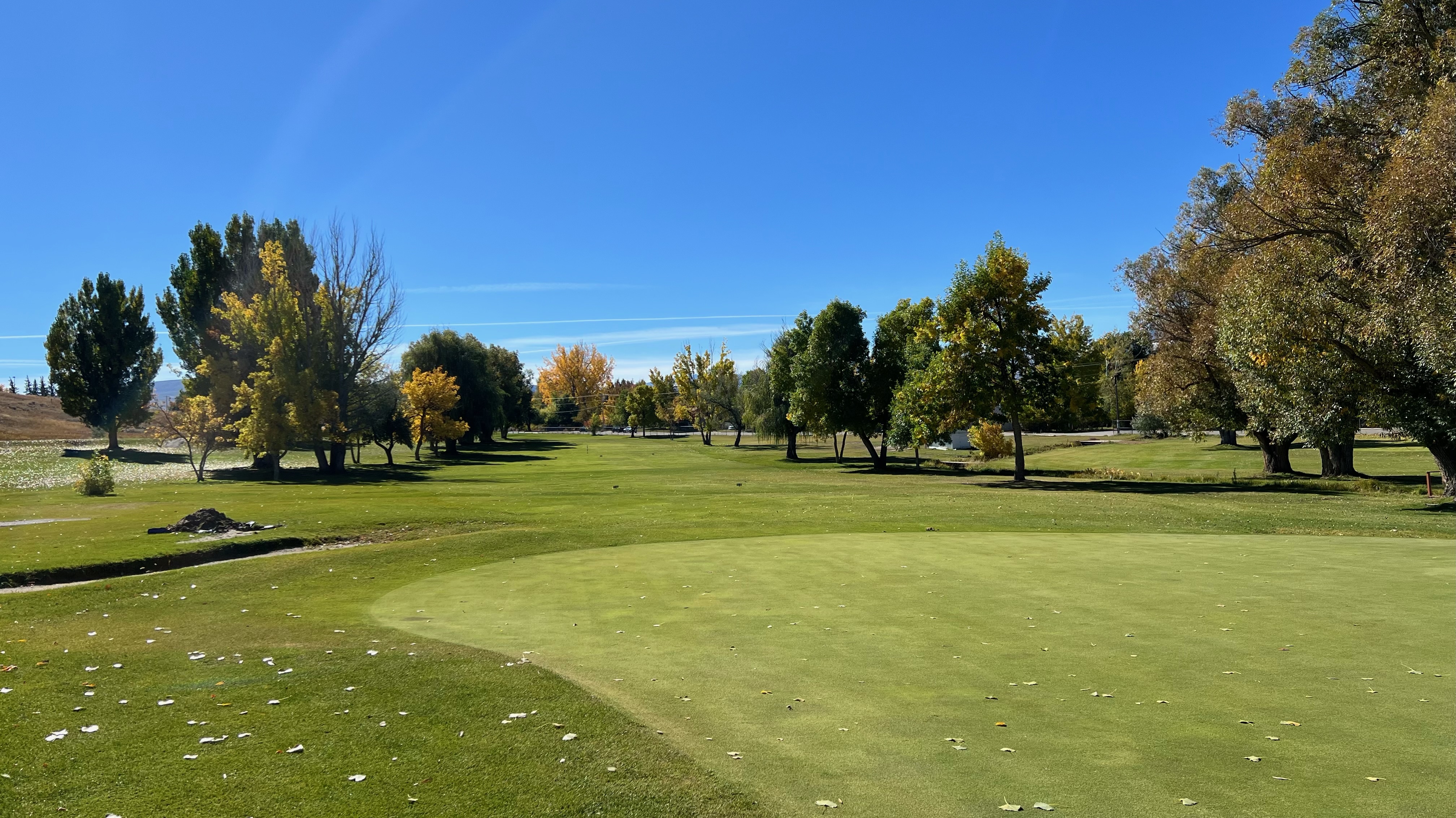 Golf course fairway with trees